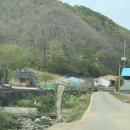산골농장 | [영월 산골초가펜션] 별당 자세한 후기, 강원도 촌캉스 제대로 즐기기