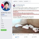 강아지 대통령 이미지