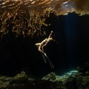 카 포인트 이미지