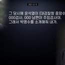 타파 이미지