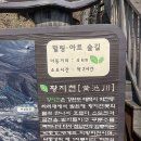 황지천~철암천 힐링숲길(1구간) 이미지