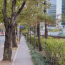 매일36.5의원 | 화이자 백신 2차 접종 후기 - 독산역 매일 36.5 의원