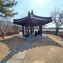 신라 진흥왕 행차길 이미지