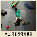 강원도산림박물관 | 속초 아이와 가볼 만한 곳 국립산악박물관 실내 무료 체험 추천