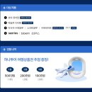 안경여행 네이버블로그