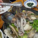 달락달리도낙지 이미지