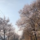 가평 스피드존 당일치기 후기 (ATV체험 + 자쿠지 노천탕 + 핀란드 사우나)