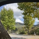 코끼리캠핑장 | 다시 찾은 평창 코끼리 마을 캠핑장