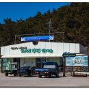 새롬민박 이미지