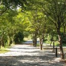 A&J오토캠핑장 이미지