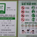 박달재농원 이미지