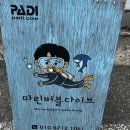 창원 스킨스쿠버 마린버블다이브 일대일 소수정예 맞춤교육