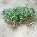 주형농장 이미지