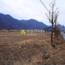 대광리농장 Daum카페