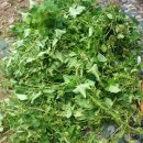 소을농장 이미지