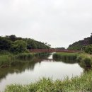 경포호수 5 | 내돈내산 강릉 카페 추천 테라로사 경포호수점 방문 후기