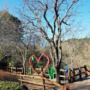 대운산자연휴양림(양산) 이미지