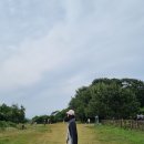 삼일농장직판장 | 일기(가족1박2일여행/지심도유람선/거제도바삭꽈배기/순천한우직판/가덕도여행/가덕도하늘과바다펜션)