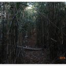 북면~칠보 이미지