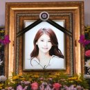 오인혜 카카오 검색결과