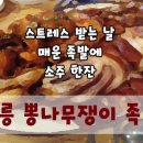 블랙플 댄스스포츠 이미지