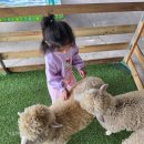 신숭겸로2 이미지