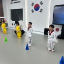 오송태권도장 이미지