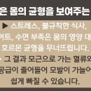 진메디칼약국 이미지