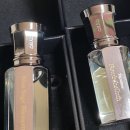 블루세이지 | 다니엘트루스 밤쉘 &amp; 블루세이지 블라썸 후기