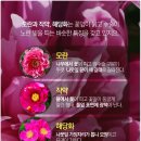 디테일