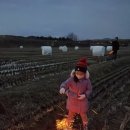 미애농장 이미지