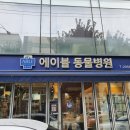 에이블동물병원 이미지