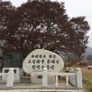 옥현농장 네이버블로그