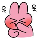 멜론 소프트 이미지