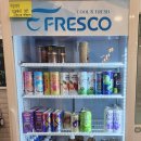 캣카페 낭만고양이 이미지