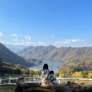 윤우목장 | 한국의 스위스, 강원도 춘천 해피초원목장 두 돌 아기랑 방문 후기