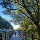 청남대 진입로 이미지