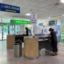 2종 운전면허증(국제영문) 갱신 방법 / 모바일 IC 신분증 발급 / 비용 / 준비물 (온라인 갱신 못한 이유)