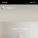 단화정 네이버블로그