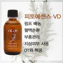 에스테틱 신화 이미지