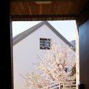 승경사계(이튿날) | [경상남도/거제] 가족여행으로 만족도 높았던 거제도 독채펜션 &#39;승경사계&#39;