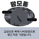 유미안외과의원 이미지