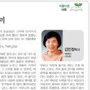김양수「매미」 이미지