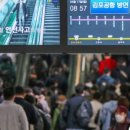 골드라인 네이버블로그