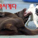거참 이미지