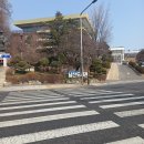 남산도서관 | 서울 남산도서관 이용후기(구내식당, 주차비, 주차팁)