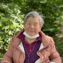 산책하는요양원 이미지