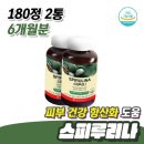 활성2통 이미지