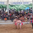 자인계정숲(씨름장) 이미지