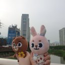 GS25창동금성점 이미지